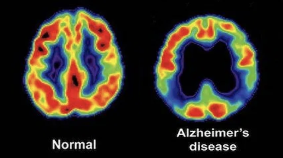 Screen%20Shot%202021 04-11%20at%2011.28.58%20AM