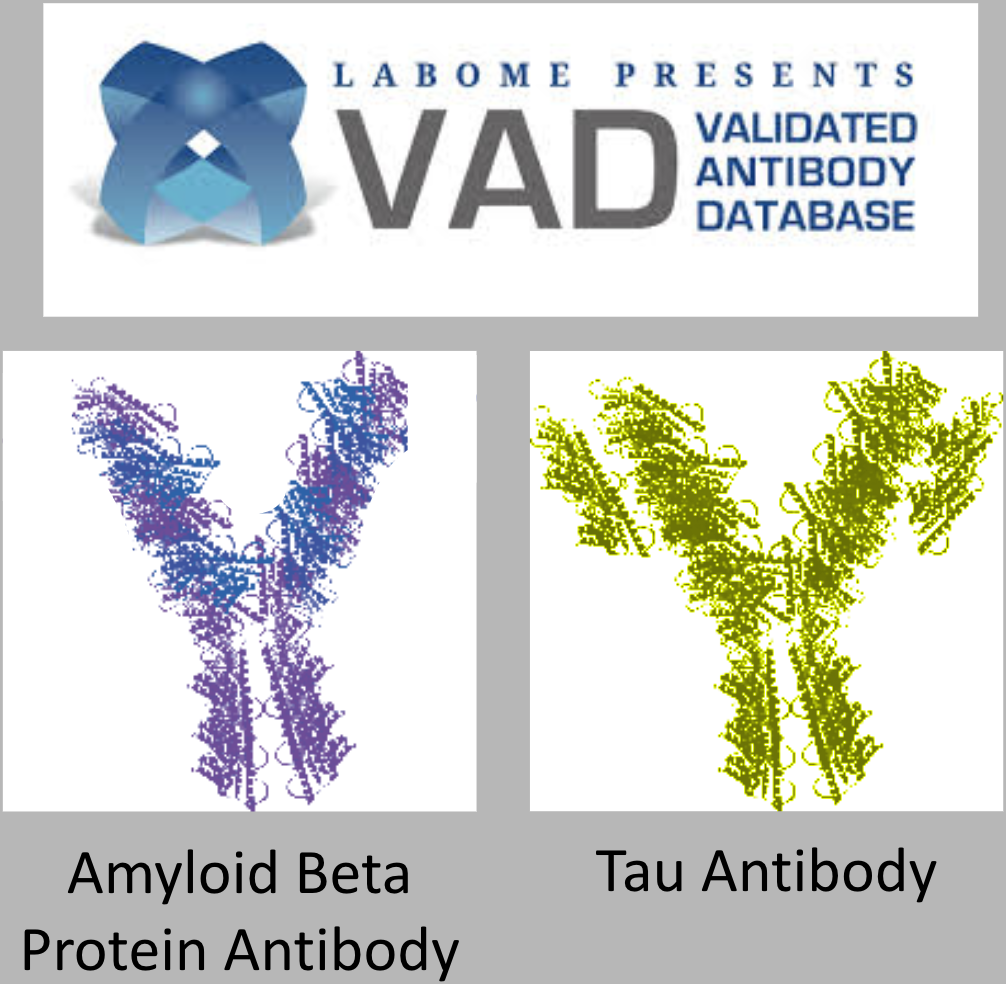 Screen%20Shot%202021 04-08%20at%204.26.57%20PM